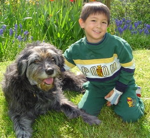 Boy and his Dog