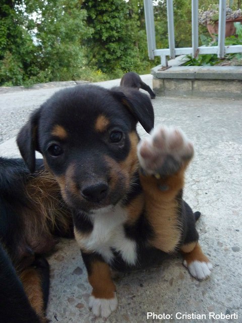 Ciao