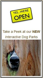 Interactive Dog Parks Yes We Are Open