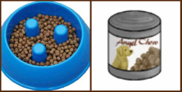 Dry dog food vs. canned dog food
