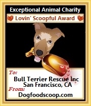 Dog Food Scoop animal charity award