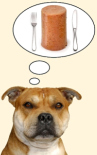 Dog thinking of wet dog food