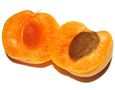Apricot Pit