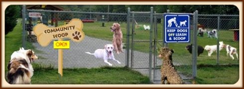 Interactive Off Leash Dog Parks