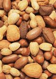 Mixed Nuts