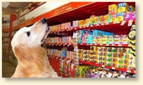 Golden Retriever Choosing the Top Dog Foods